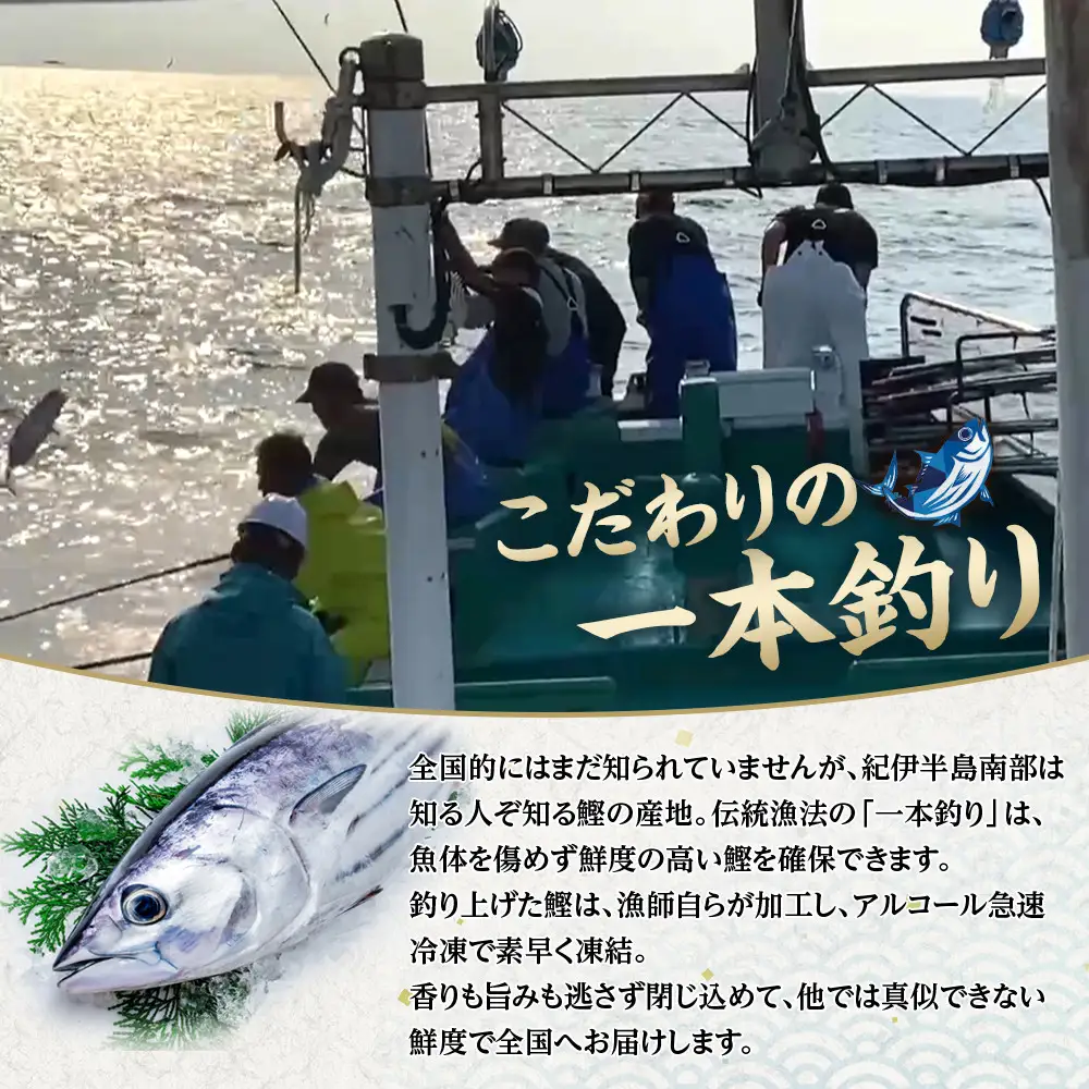 かつお一本釣り漁師が直送！ 日帰り生かつお 訳あり 2.2kg入