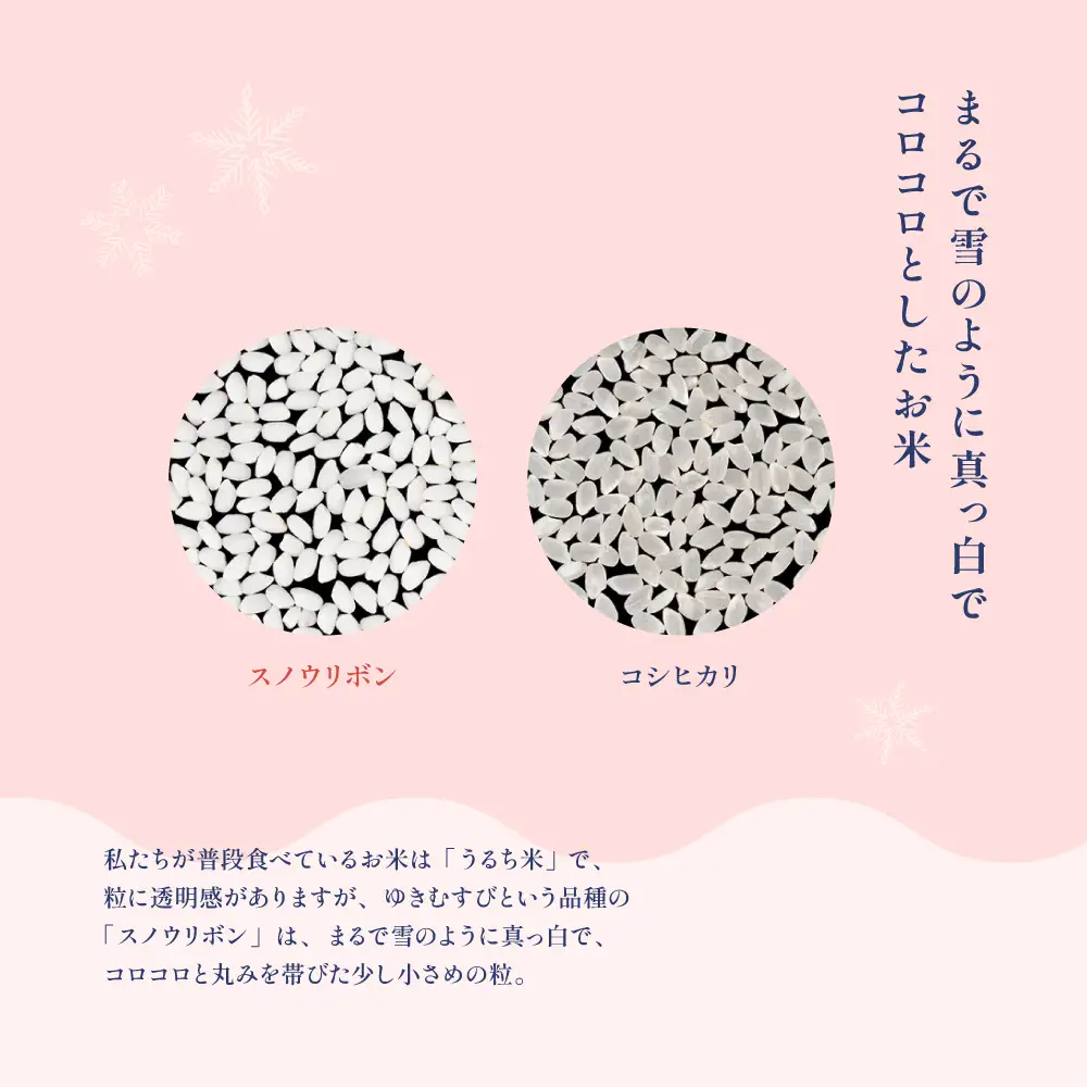 【2025年産米】スノウリボン（ゆきむすび）5kg×1袋【13-53】