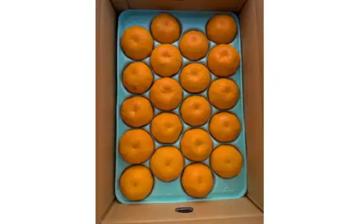 はるみ 和歌山 みかん 秀品 Lサイズ 20個入り 贈答用 / はるみ 柑橘 贈り物 フルーツ 果物 ※2027年1月中旬頃～3月上旬頃に順次発送予定【ksmt013-r-20】