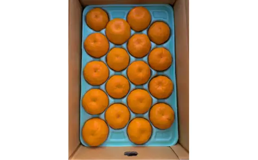 はるみ 和歌山 みかん 秀品 2Lサイズ 18個入り 贈答用 / はるみ 柑橘 贈り物 フルーツ 果物 ※2027年1月中旬頃～3月上旬頃に順次発送予定【ksmt013-r-18】