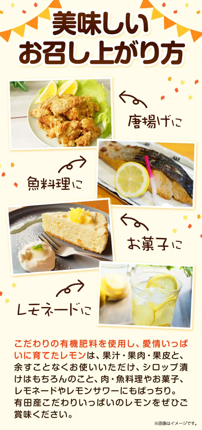 有田産 レモン 約 5kg 厳選館 レモン 檸檬