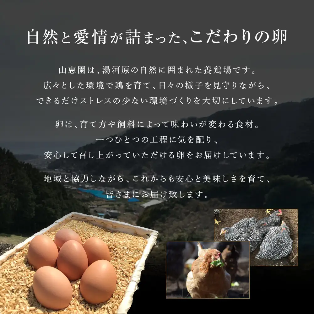 山恵園のたまご （赤玉15個＋白玉15個）| たまご 卵 赤玉 白玉  鶏卵 養鶏場 湯河原町