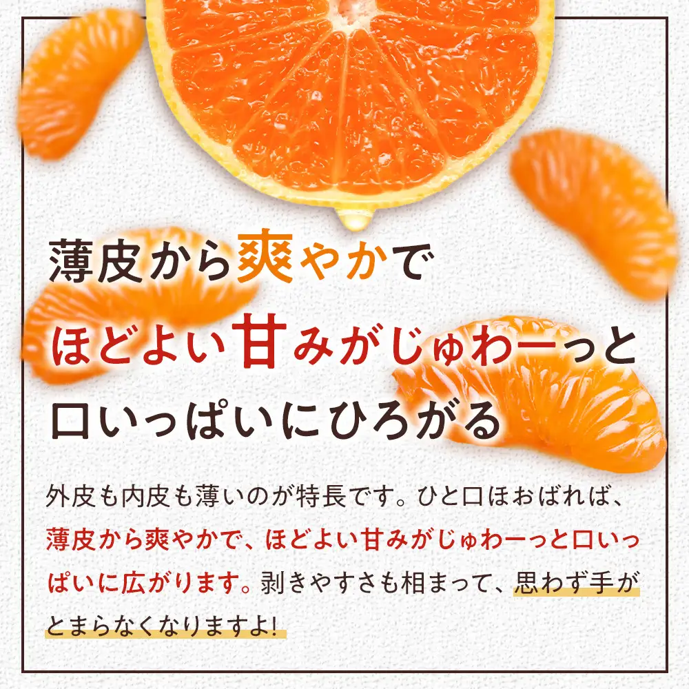 甘みと酸味のバランス抜群・宮川早生みかん　10kg(Lサイズ) | 湯河原町 Lサイズ 10kg 宮川早生みかん 果物 旬 みかん フレッシュ