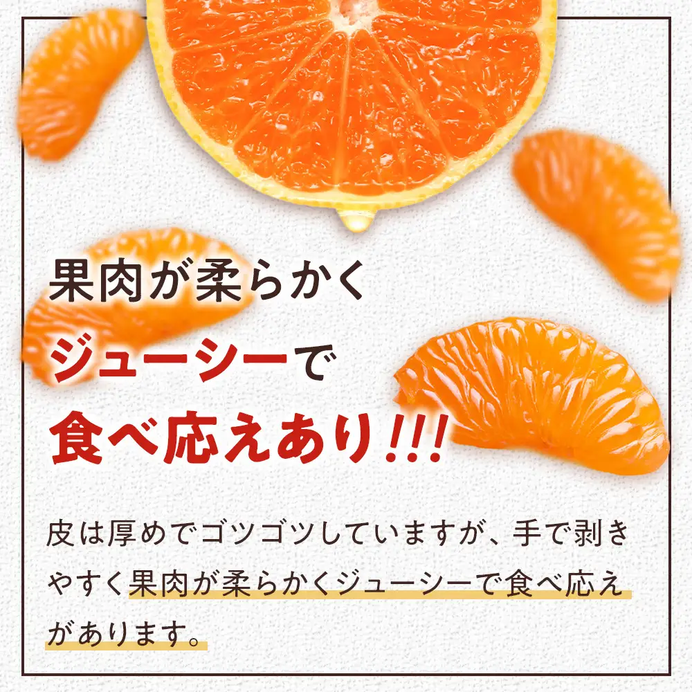 年末年始にも楽しめる　早出し　青島みかん　3kg  | 湯河原町 青島みかん 3kg フルーツ 蔵出し貯蔵 濃厚