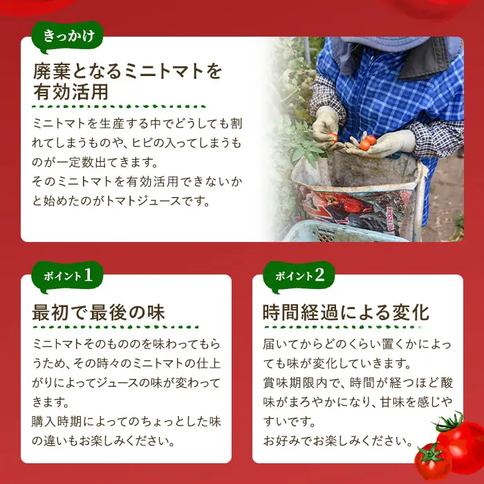 ＜おがた農園のミニトマトジュース＞ 陽の彩 ー ひのいろ ー (1000ml×6本) トマト ミニトマト ジュース トマトジュース ミニトマトジュース 飲料 甘味 酸味 野菜 ギフト プレゼント【おがた農園】【D7025】