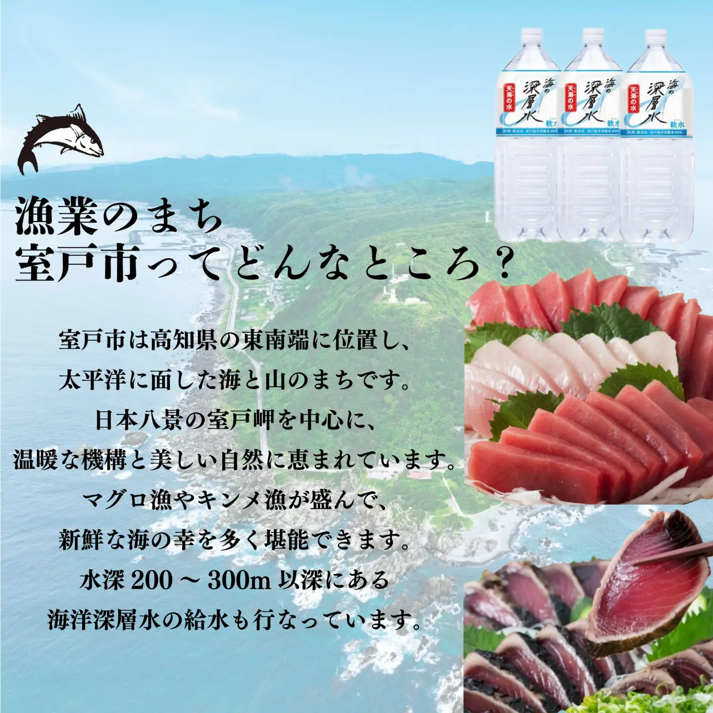 天然カジキマグロ 鮪 まぐろ 1.5㎏ マグロ 柵 刺身 海鮮 魚 切り身 海産 国産 刺身用 漬け丼 海鮮丼 カルパッチョ フライ ソテー 照り焼き お取り寄せ グルメ 父の日 ディナー お盆 冷凍 鮮魚 前田水産 高知県 室戸市