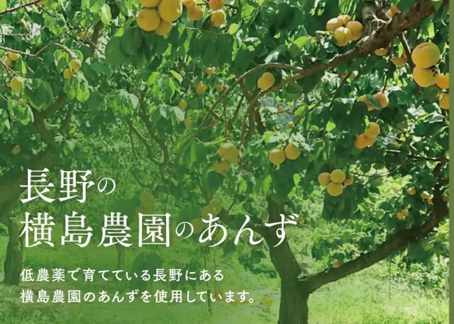 まるごとひんやり生あんず（冷凍あんず5個） | あんず