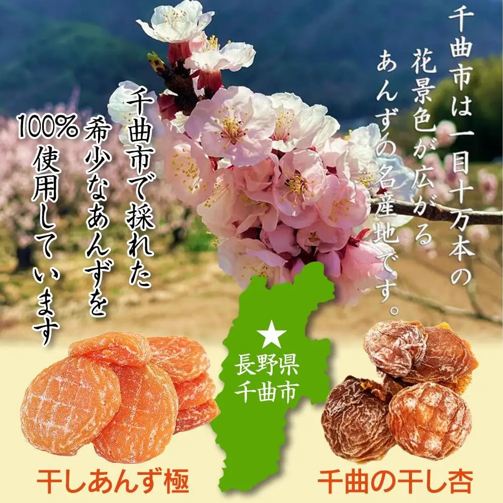 【食べ比べセット】千曲の干し杏   120g 干しあんず極 165g 各1袋セット 計2袋 |  あんず