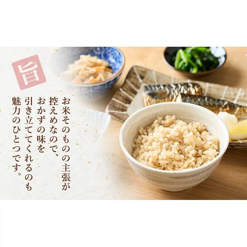 愛知県産 あいちのかおり 玄米 5kg お米 玄米 ライス ご飯 おにぎり お