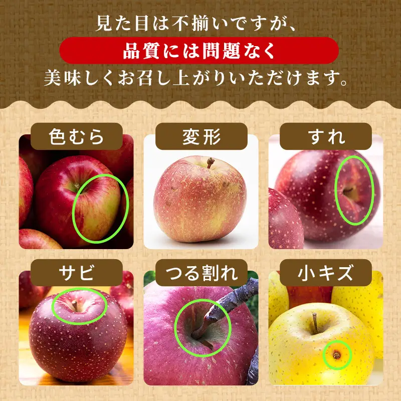 りんご【11月～2月発送】糖度13度以上 訳あり品 家庭用 ぐんま名月 約3kg【青森りんご】