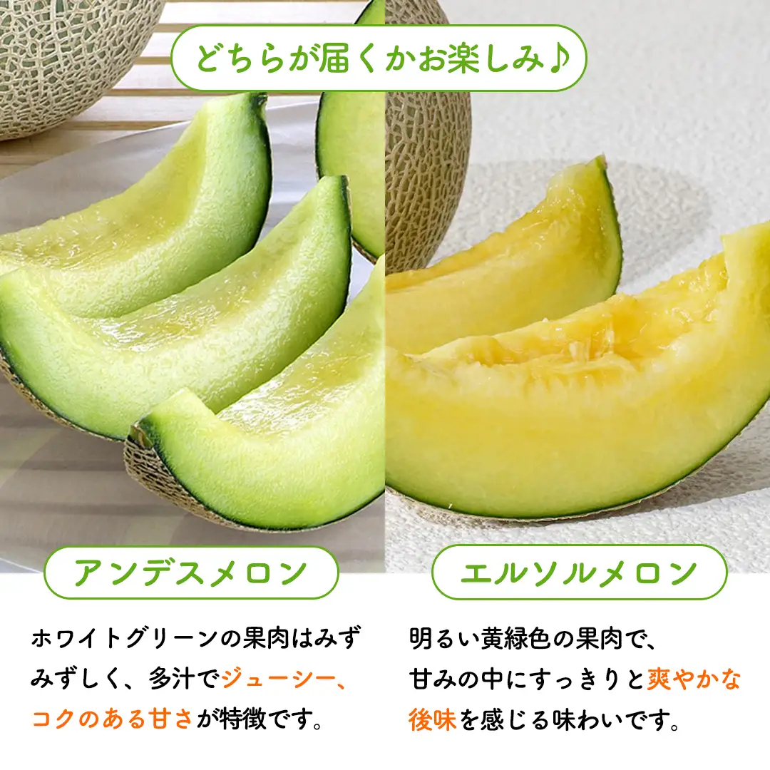 【6月上旬頃より発送】茨城県産 青肉・赤肉メロンセット 秀品または優品 3Lまたは4Lサイズ×各1玉入
