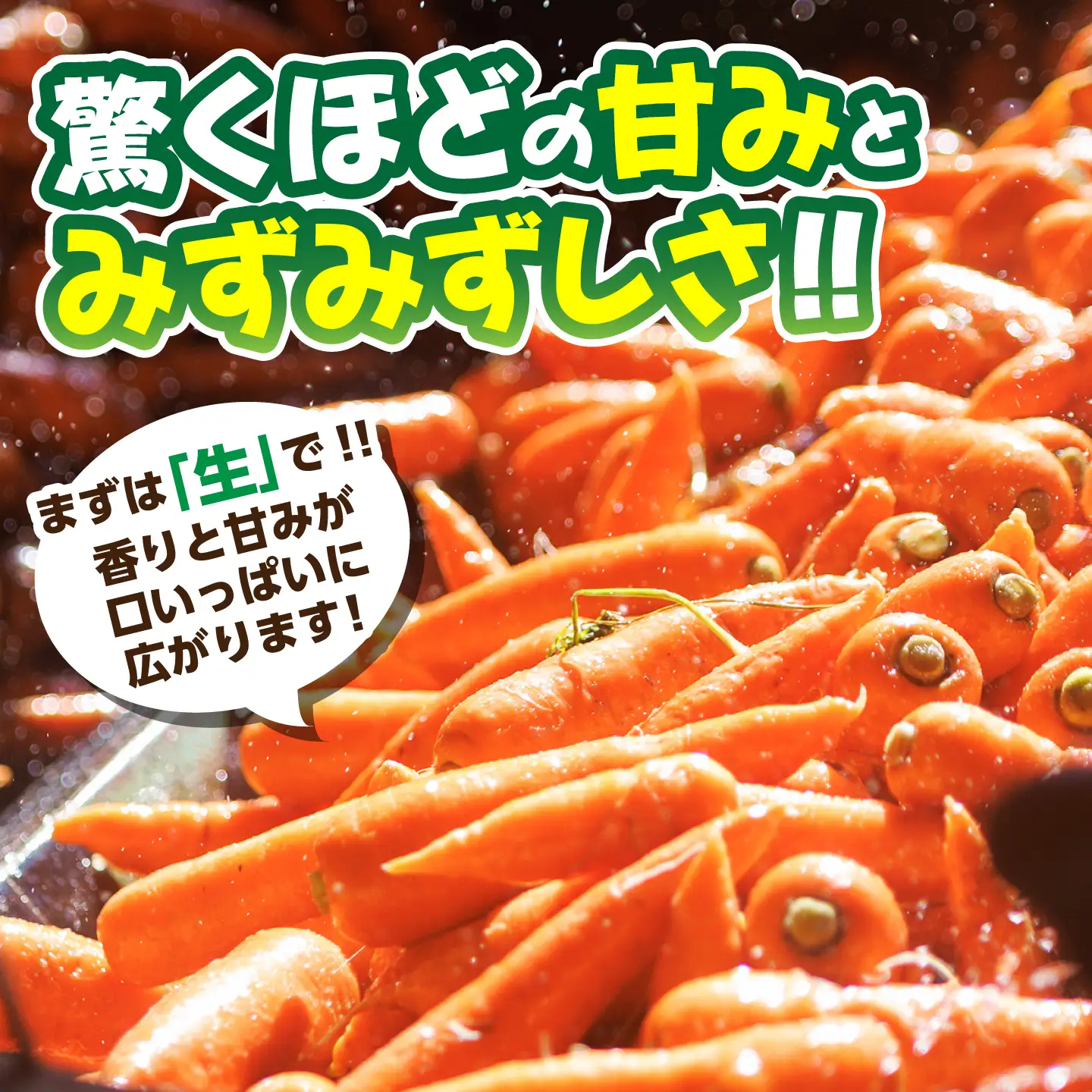 訳あり菊陽春にんじん 10kg にんじん BHDH006
