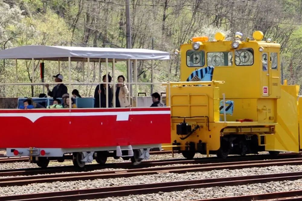 小坂鉄道レールパークエンジョイチケット（入場券＋トロッコ＋レールバイク）大人1名＜レターパックプラス＞