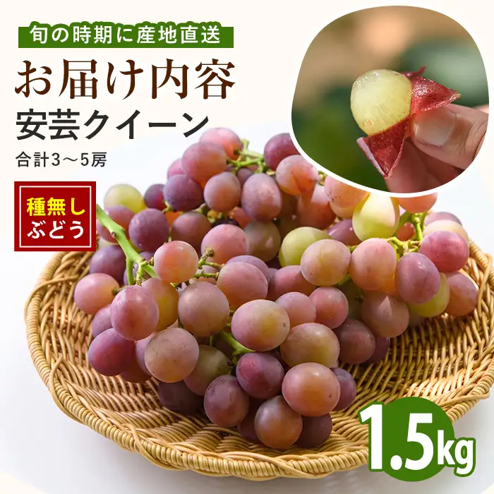 【2026年7月下旬〜発送】＜期間限定＞迫田果樹園のぶどう 安芸クイーン 約1.5kg (迫田果樹園/IB064-012)