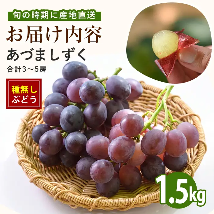 【2026年7月上旬〜発送】＜期間限定＞迫田果樹園のぶどう あづましずく 約1.5kg (迫田果樹園/IB064-010)