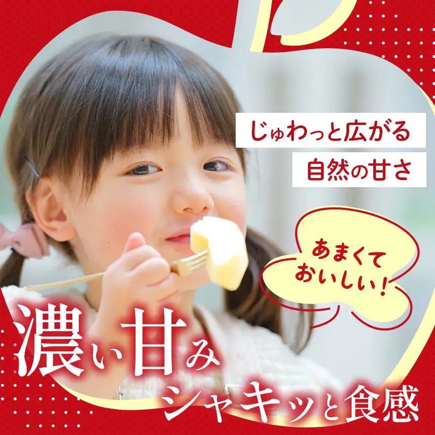 【数量限定】りんご 樹上完熟 サンふじ 5kg【2026年 先行予約】