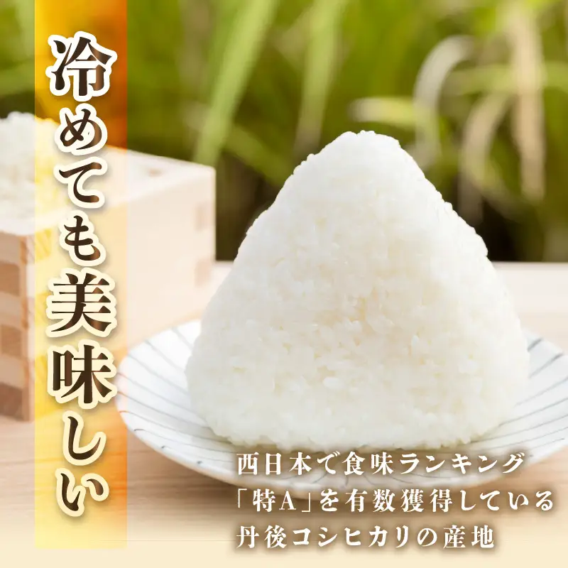 直売所直送「令和8年産　京丹後市産　コシヒカリ」　無洗米5kg こめ ふるさと納税 コシヒカリ 米 精米