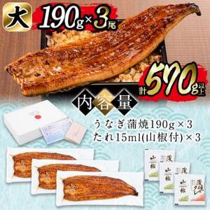 日ノ本一の鰻の蒲焼き＜大＞3尾セット(計570g以上) うなぎ 鰻 ウナギ 国産 鹿児島県産 九州産 蒲焼き 冷凍 うな重 ひつまぶし b8-022