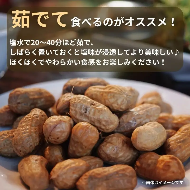 訳あり 落花生 8月～11月発送 (約1kg) | 京都府久御山町 落花生