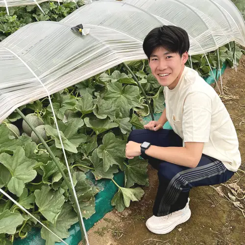 メロン タカミメロン 優以上 1箱 2玉 八千代町産 先行予約