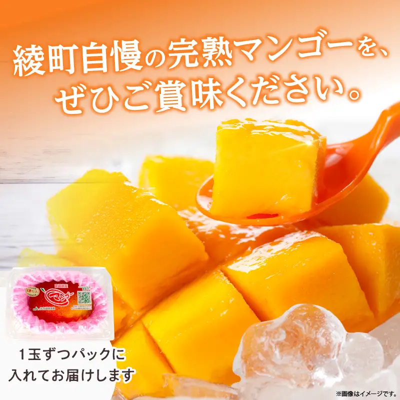 【訳あり】完熟マンゴー 2L×2玉（パック）濃厚 宮崎 果物 フルーツ 贈答 ギフト 甘い 先行受付 送料無料【JA綾町】_A0114-1101