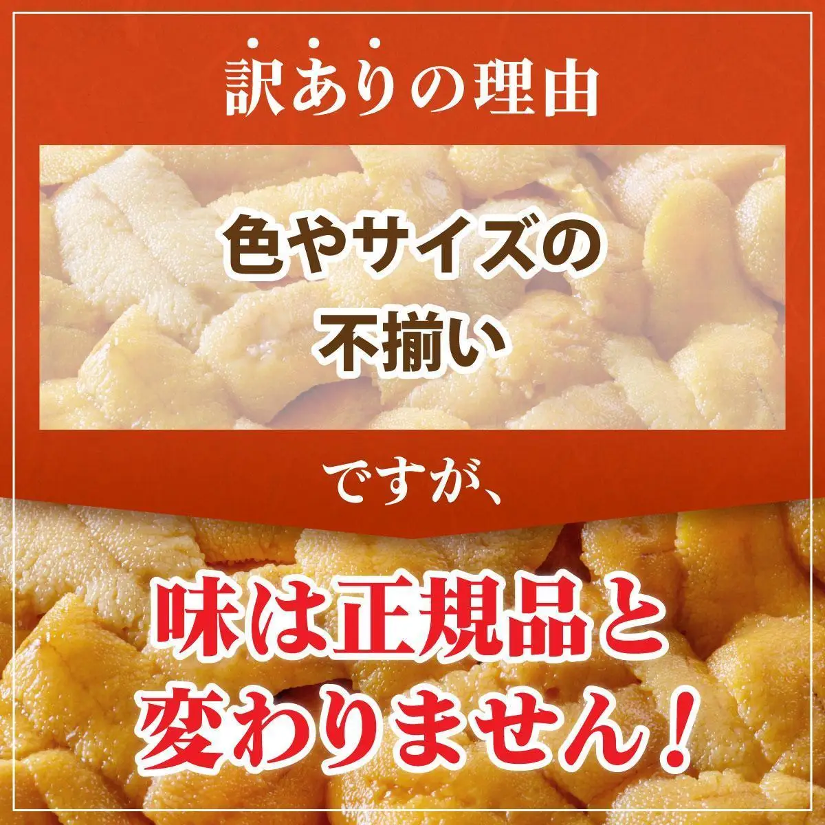 ＜先行予約＞ 北海道産 ムラサキウニ（訳あり）300g【ogm-041】