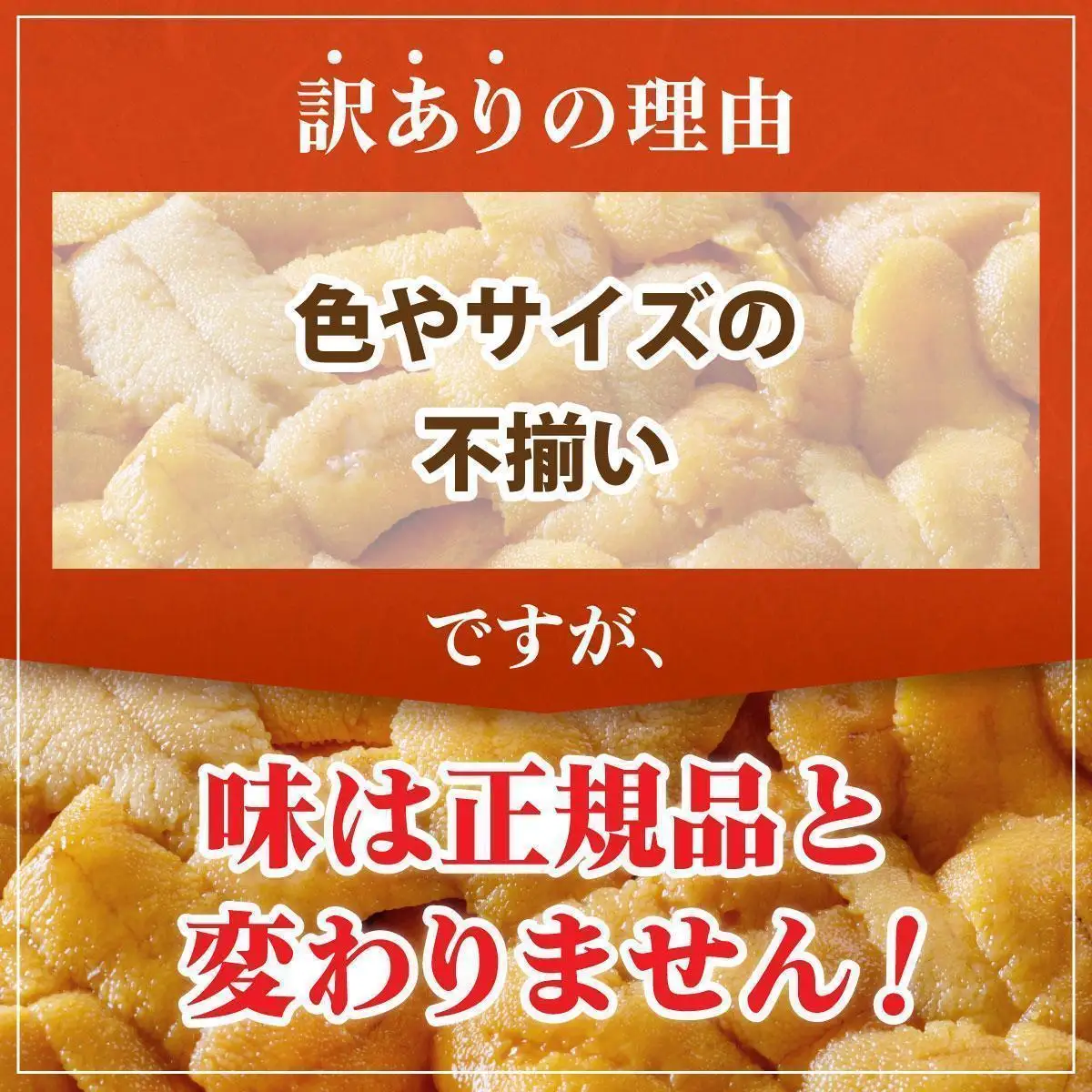 ＜先行予約＞ 北海道産 ムラサキウニ（訳あり）900g【ogm-047】