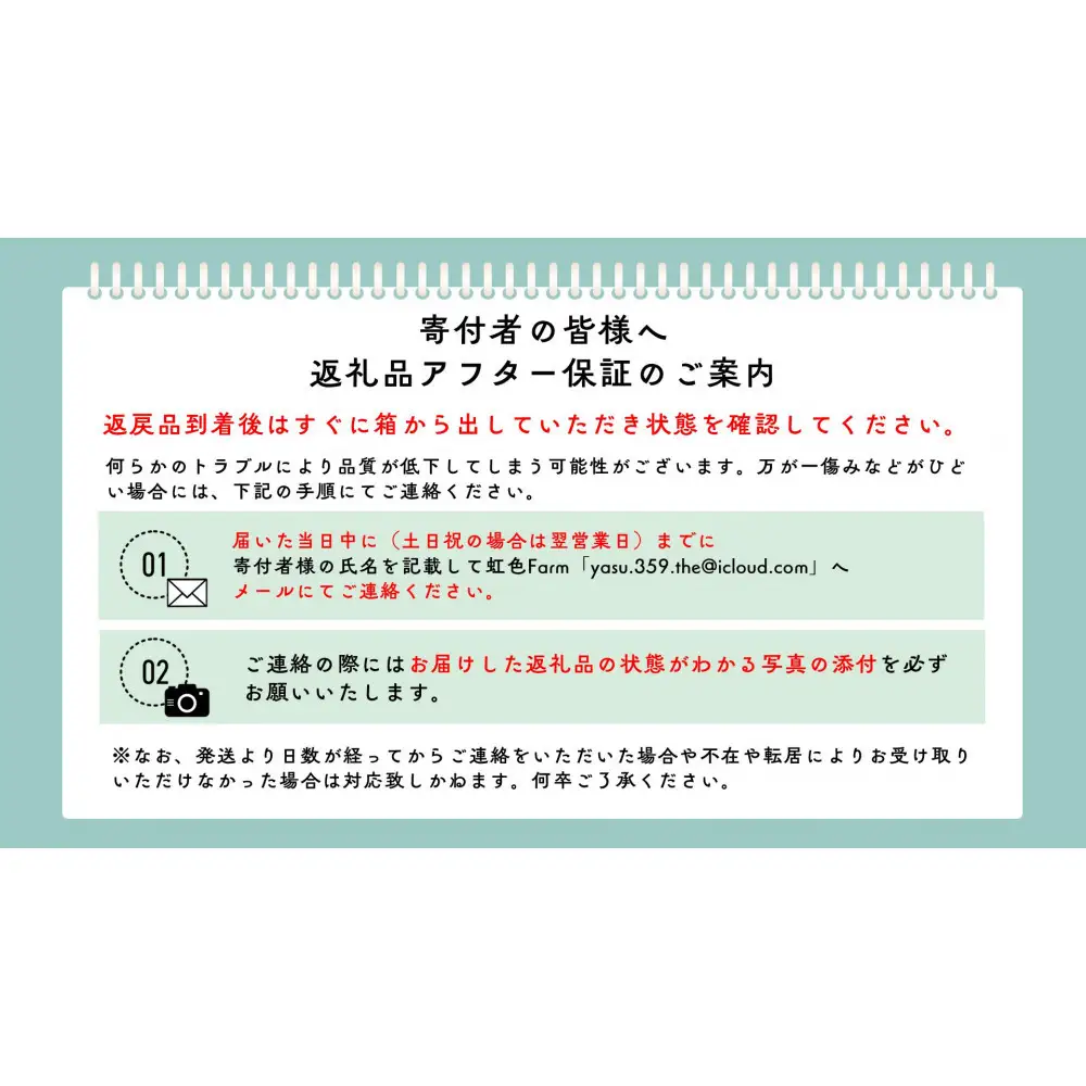 《先行受付・2026年7月お届け》【虹色Farm】国産カブトムシ成虫1ペア(飼育キット付) ｜京都 カブトムシ 人気