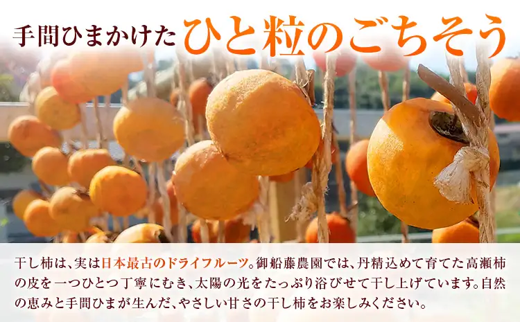 昔ながらの干し柿 クリームチーズブレンド特製チーズ付き 8個 柿 果物 フルーツ かき 高瀬柿 御船藤農園《2026年11月中旬-2027年1月中旬頃出荷》熊本県 御船町 ドライフルーツ 甘味 くだもの 和菓子 熊本県産 おやつ スイーツ