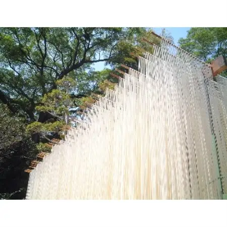 和泉手延べ麺　半生もどし長そうめん・乾ひやむぎ(計19人前)　たつみ麺店(STSSD)【1230118】