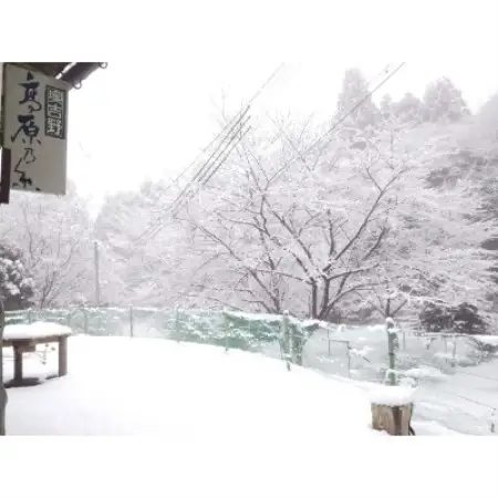 手延べ素麺　奥吉野高原の糸　20束【1224278】