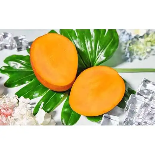 【お中元ギフト】今が旬！【杉田農園】西都市産 完熟マンゴー 2玉  900g~1kg 化粧箱入 生産者直送  宮崎マンゴー ＜38-2a＞ 果物 フルーツ 甘い 残りわずか