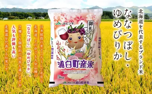 〈 令和8年産 〉 浦臼産 ななつぼし ゆめぴりか 精白米 各5kg （ 計10kg ） 食べ比べセット お米 米 こめ コメ 白米 白飯 飯 ご飯 おにぎり ブランド米 ブランド 国産 北海道産 和食 【 2026年10月下旬より順次発送 】