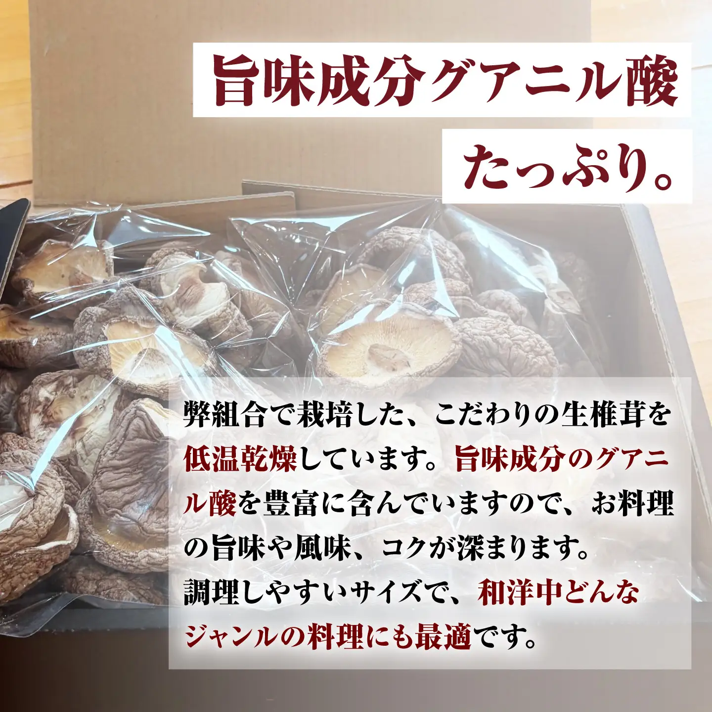 乾燥しいたけ 80g 2袋 計160g  / きのこ キノコ 茸 シイタケ  / 南島原市 / サンエスファーム[SBX004]