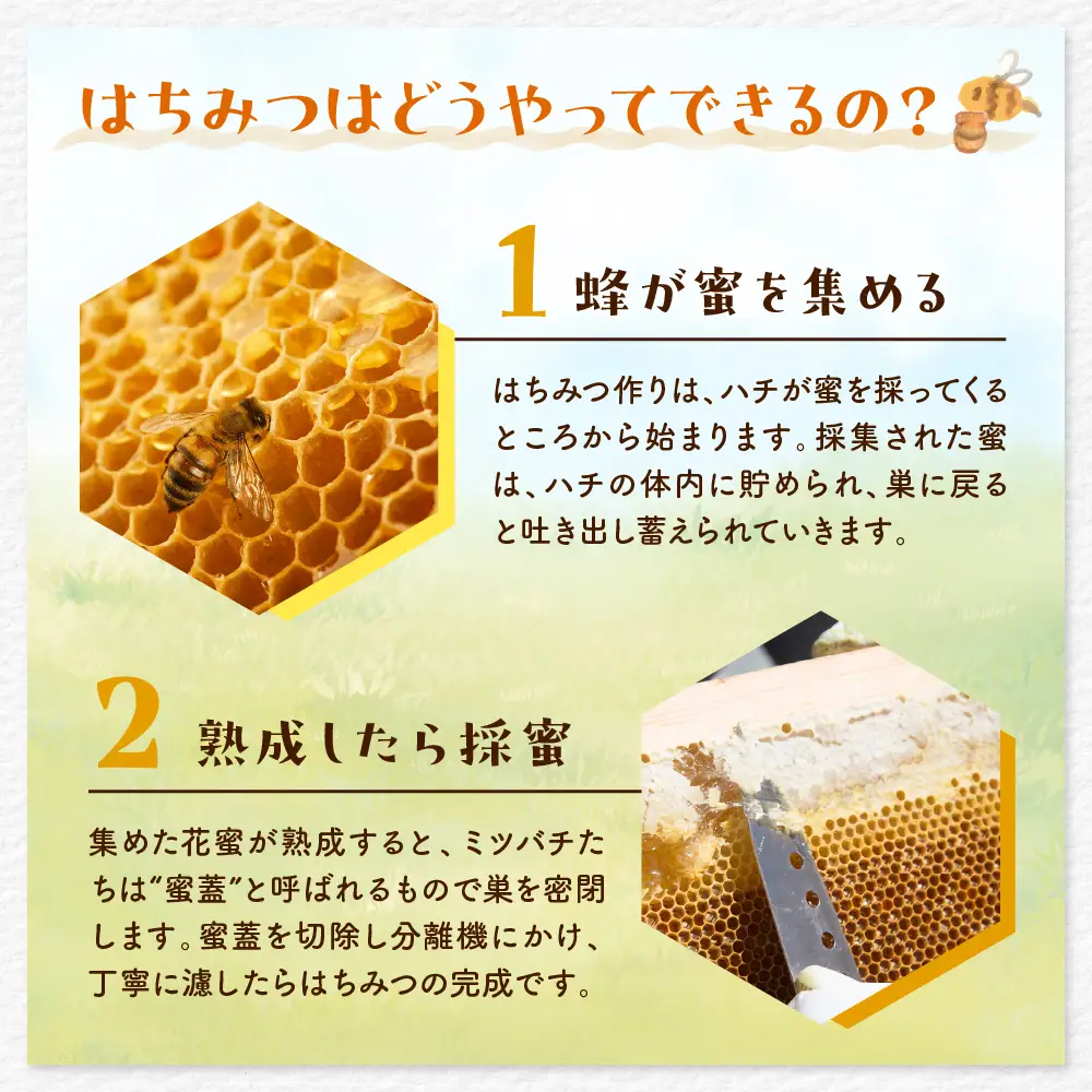 【2026年8月発送】はちみつ【千代田町の蜂蜜】300g「とち」はちみつ