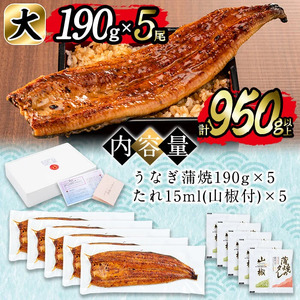 【丑の日までに配送】日ノ本一の鰻の蒲焼き＜大＞5尾セット(計950g以上) うなぎ 鰻 ウナギ 国産 鹿児島県産 九州産 蒲焼き 冷凍 うな重 ひつまぶし d3-001-us