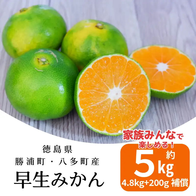 みかん 早生みかん 5kg 柑橘 フルーツ 果物