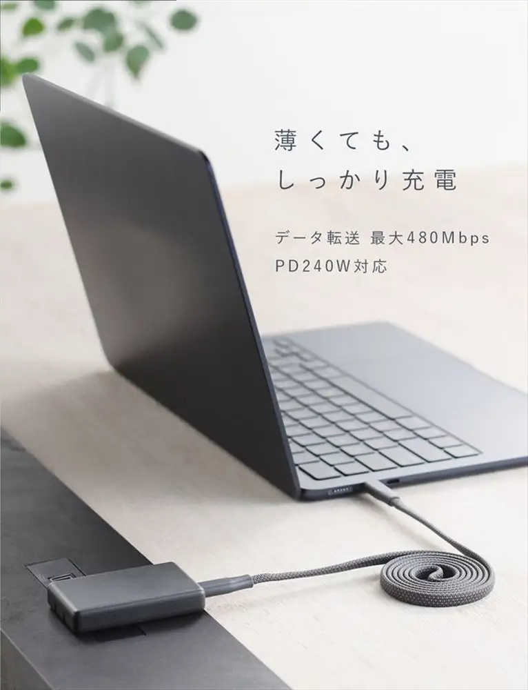 CIO ケーブル Mate Flat Spiral Cable CtoC Type-Cケーブル 充電 iPhone スマートフォン iPad ナチュラルホワイト [2659]