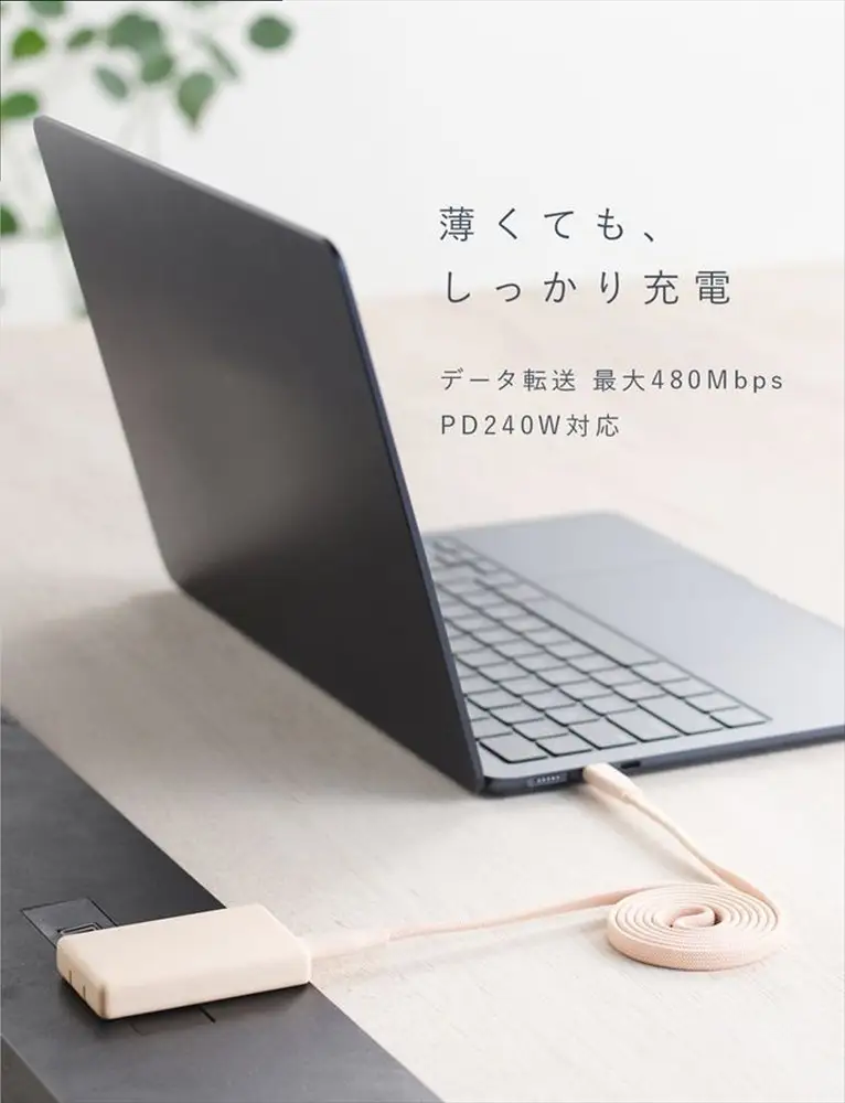 CIO ケーブル Mate Flat Spiral Cable CtoC Type-Cケーブル 充電 iPhone スマートフォン iPad パープル [2663]