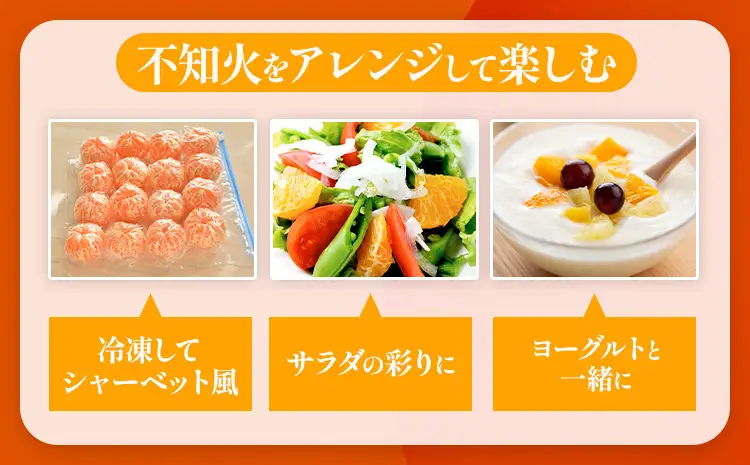 不知火   10kg  日本フルーツ株式会社 熊本県 荒尾市 《2月上旬-4月上旬頃出荷》 デコポン 果物 フルーツ スイーツ デザート ギフト ご贈答 しらぬい