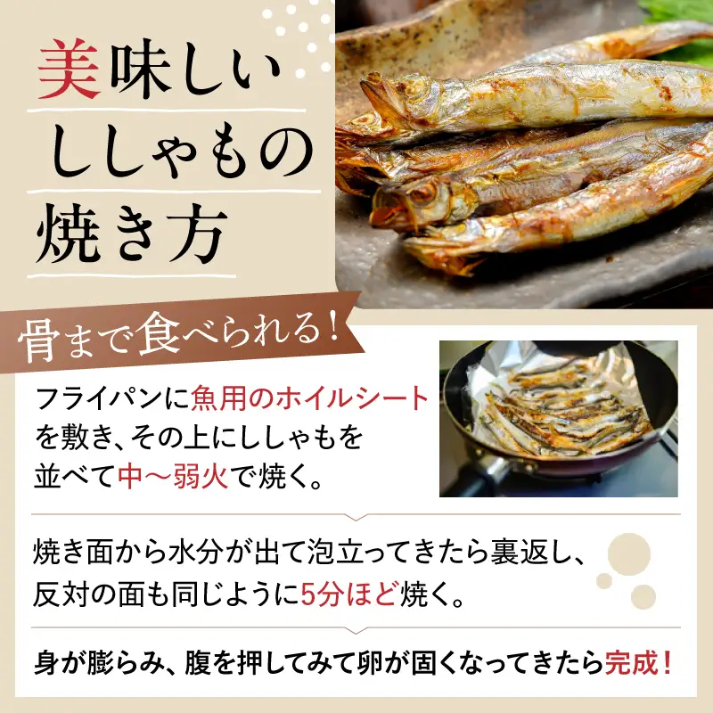 【訳あり】子持ちシシャモ 1.0kg（500g×2袋）mi0012-0187