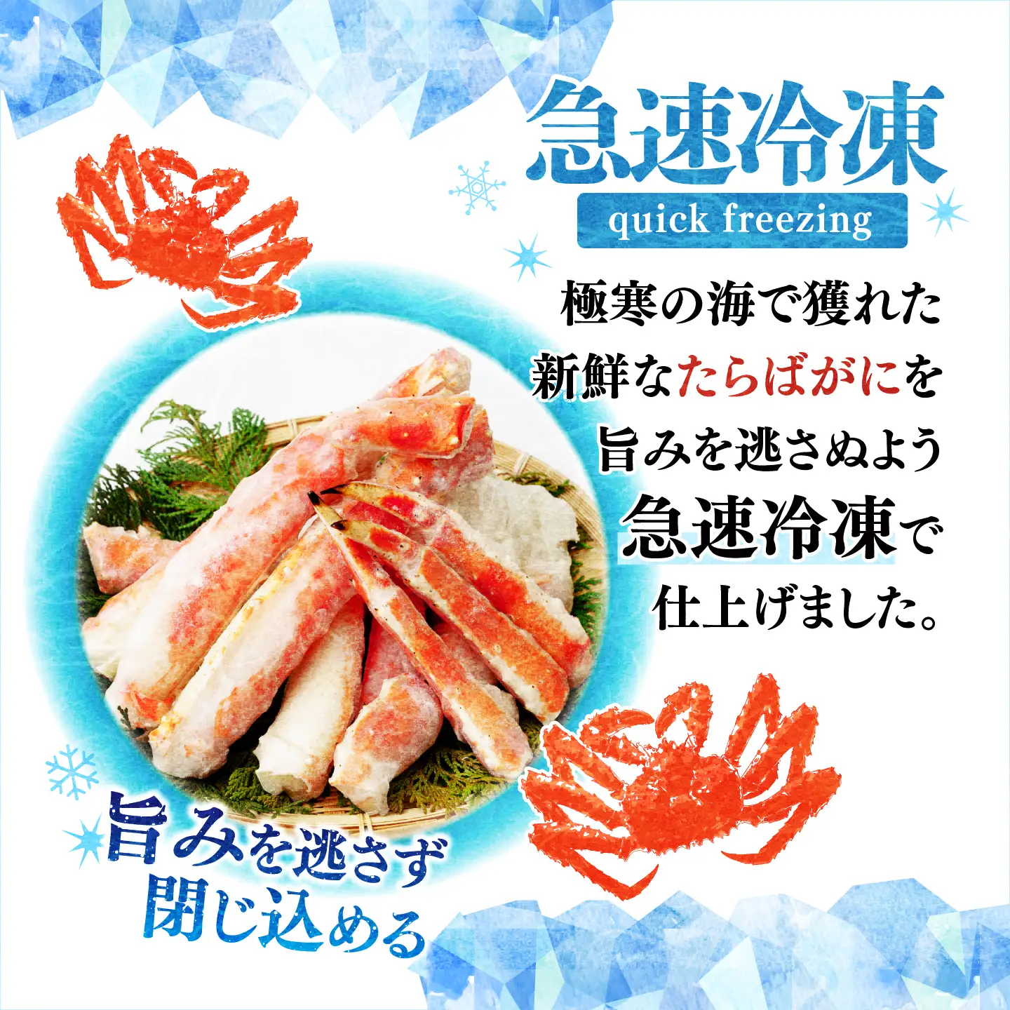 訳あり 生たらばがに脚 約1kg 【5営業日配送】| タラバガニ 茨城県 ひたちなか市