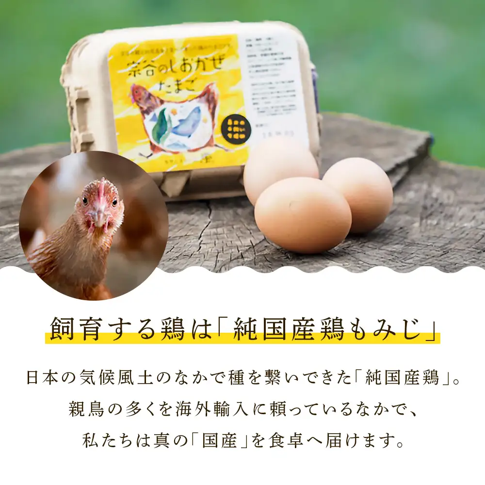 【5カ月定期便】宗谷のしおかぜたまご30個入