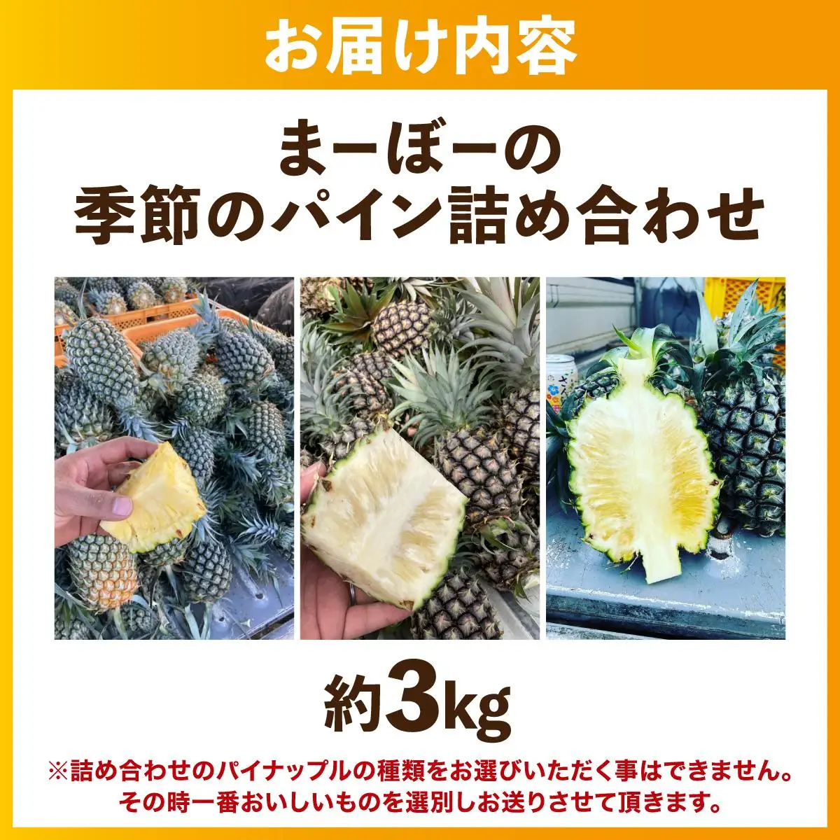 まーぼーの季節のパイン詰め合わせ 約3kg ＜2026年4月以降順次発送＞