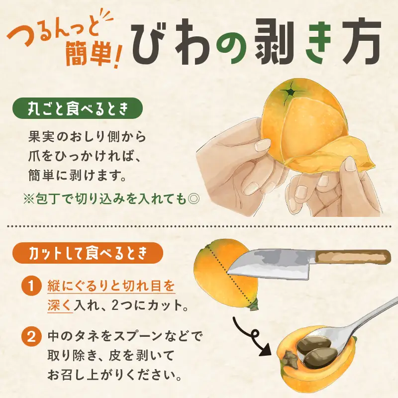 【南房総・道の駅よりお届け】完熟『房州びわ』　 2L以上　1箱（1kg以上）mi0125-0001