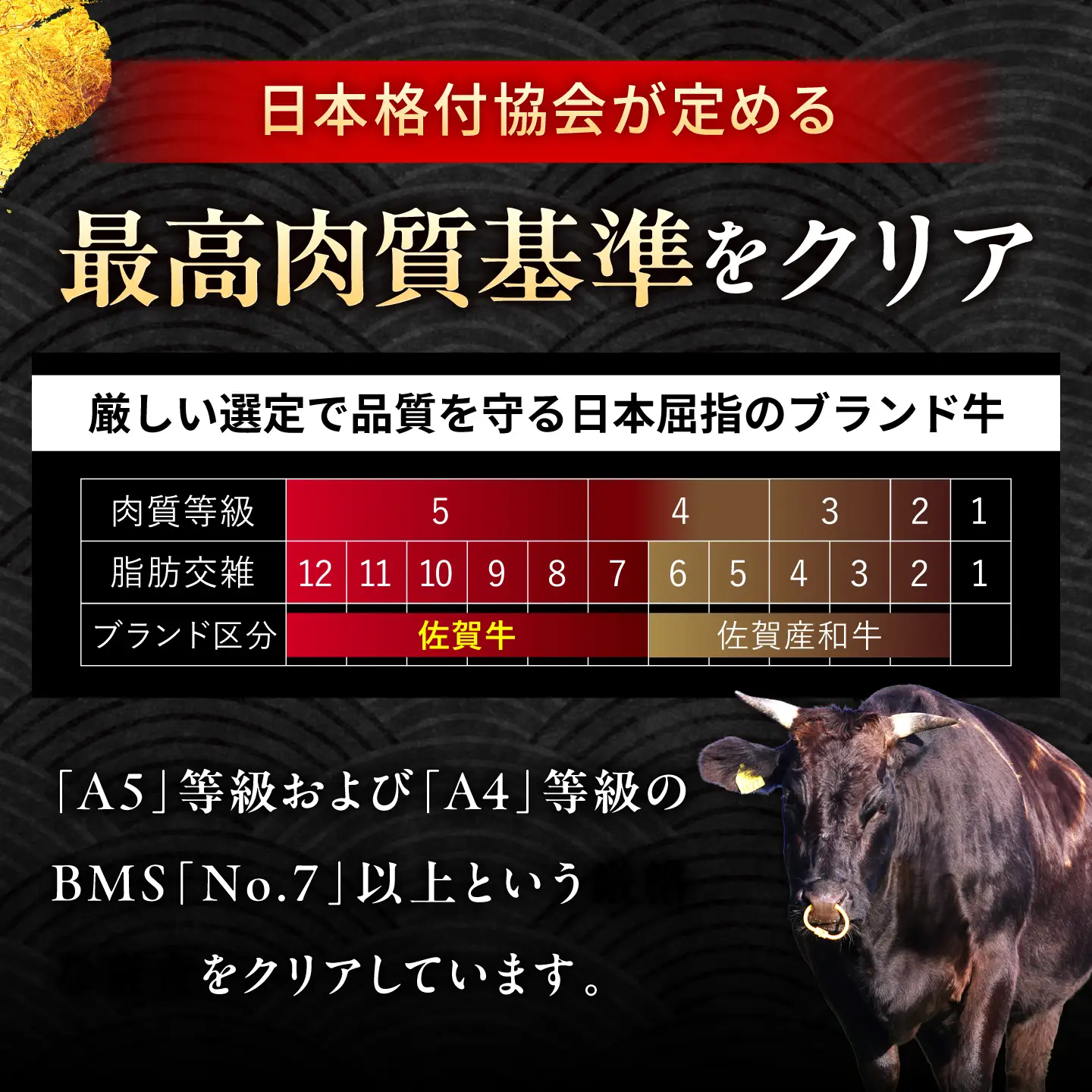佐賀牛 赤身 モモ サイコロステーキ 300g 吉野ヶ里町/上場食肉[FDQ019]