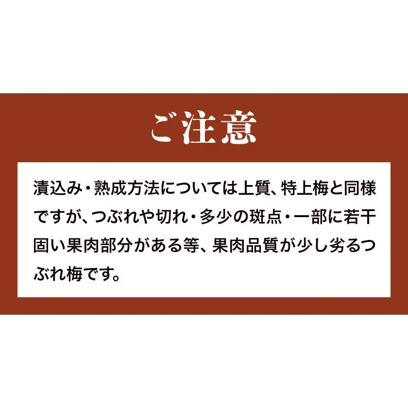 昔ながらの梅干し 訳あり つぶれ梅 約1kg 500g 2パック 農業法人 株式会社紀州梅香