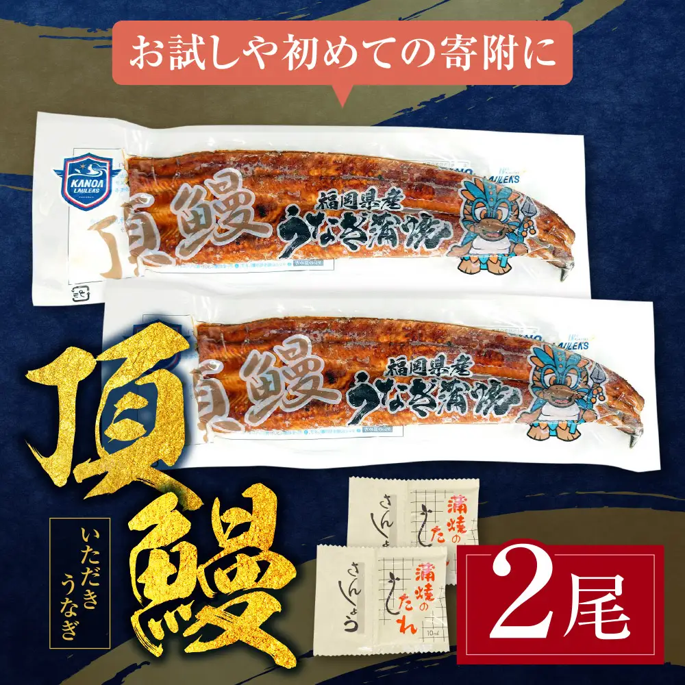 Z36-16R01 寄附額改定↓↓ 【丑の日7/25までにお届け】頂鰻 福岡県産うなぎの蒲焼 2尾セット うなぎ