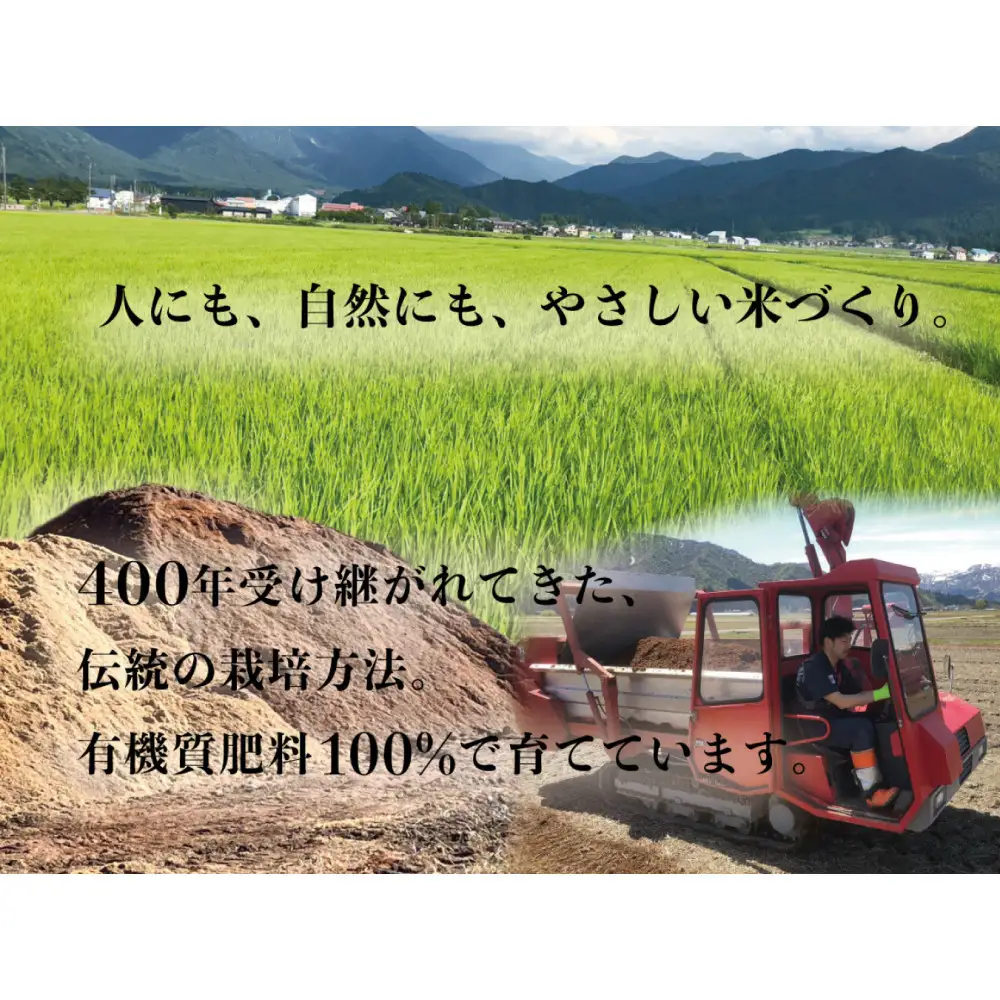 定期便全3回【南魚沼市食味コンテスト優秀賞】南魚沼産コシヒカリ 白米10kg(5kg×2) ｜薬師米 令和7年産【定期便 銘柄米 ブランド米 精米 こしひかり コシヒカリ 魚沼産 新潟米 産地直送 お米 米 こめ コメ ご飯 御飯 ごはん】