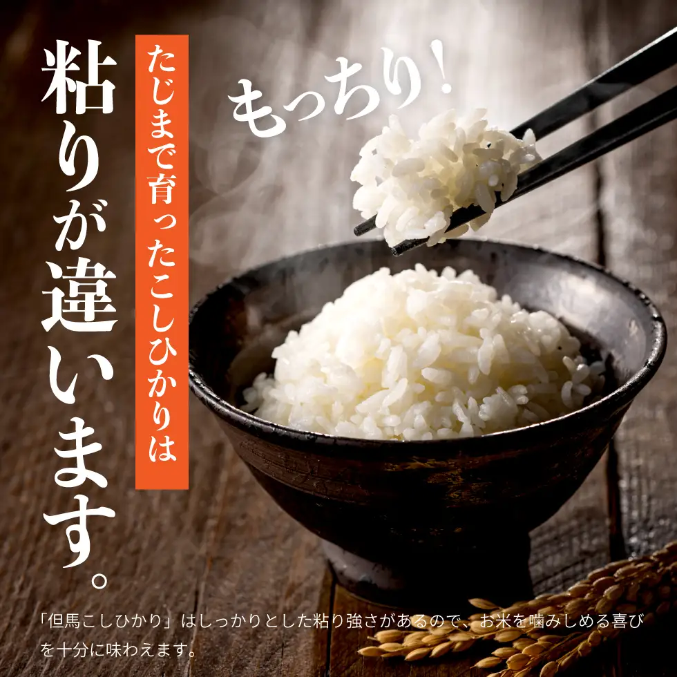 令和7年産 但馬産 コシヒカリ 特Aランク 10kg / 兵庫県産 こしひかり 産地直送 新鮮 お米 米 精米 白米 コメ こめ ご飯 ごはん ライス 送料無料 おにぎり お弁当 和食 洋食 コウノトリ羽ばたく会